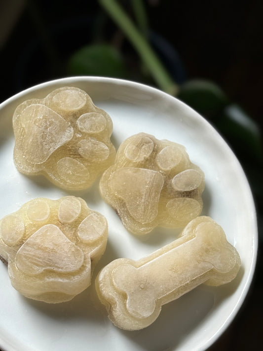 Savory Pupsicles | Recipe