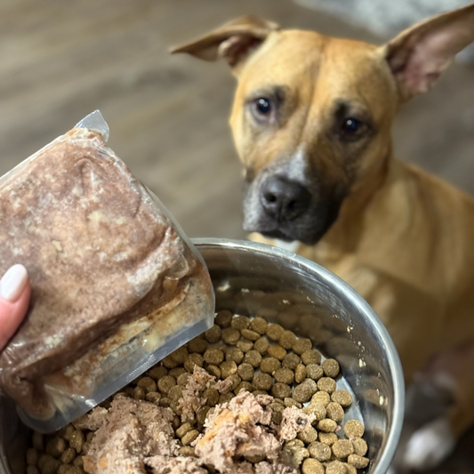 Why Adding a Little Crunch to Your Dog’s Fresh Food Is a Game-Changer