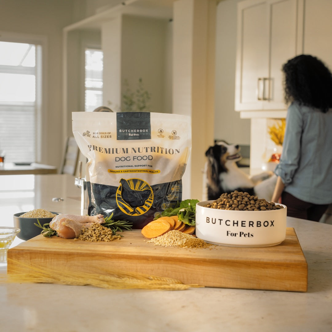 Premium Nutrition Dog Food