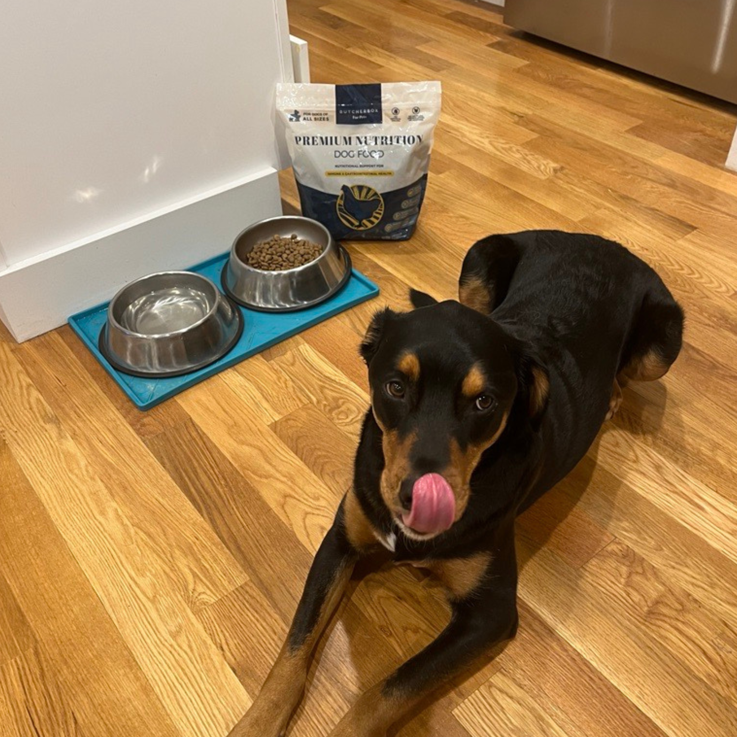 Premium Nutrition Dog Food