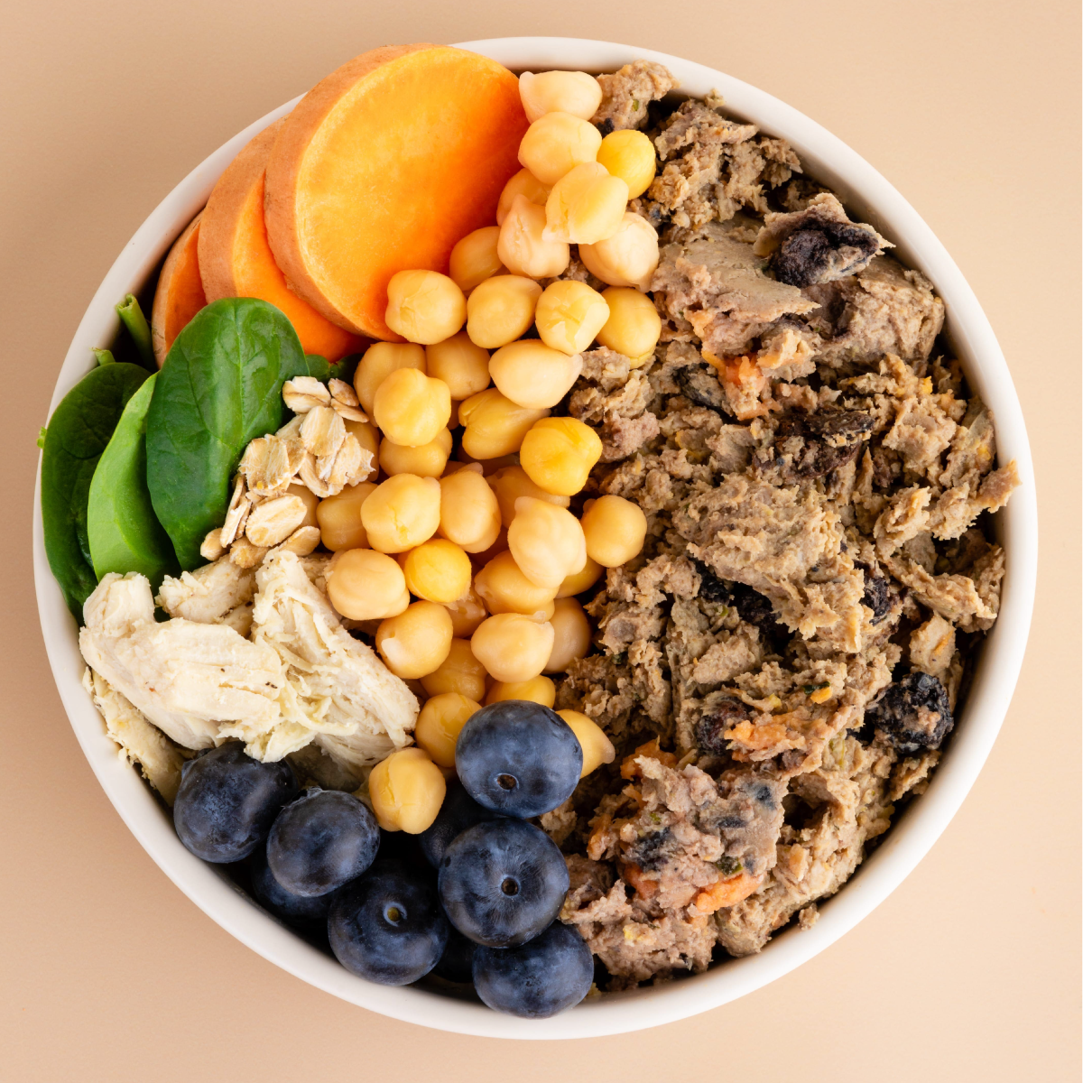 Premium Slow-Cooked Nutrition Fresh Dog Food