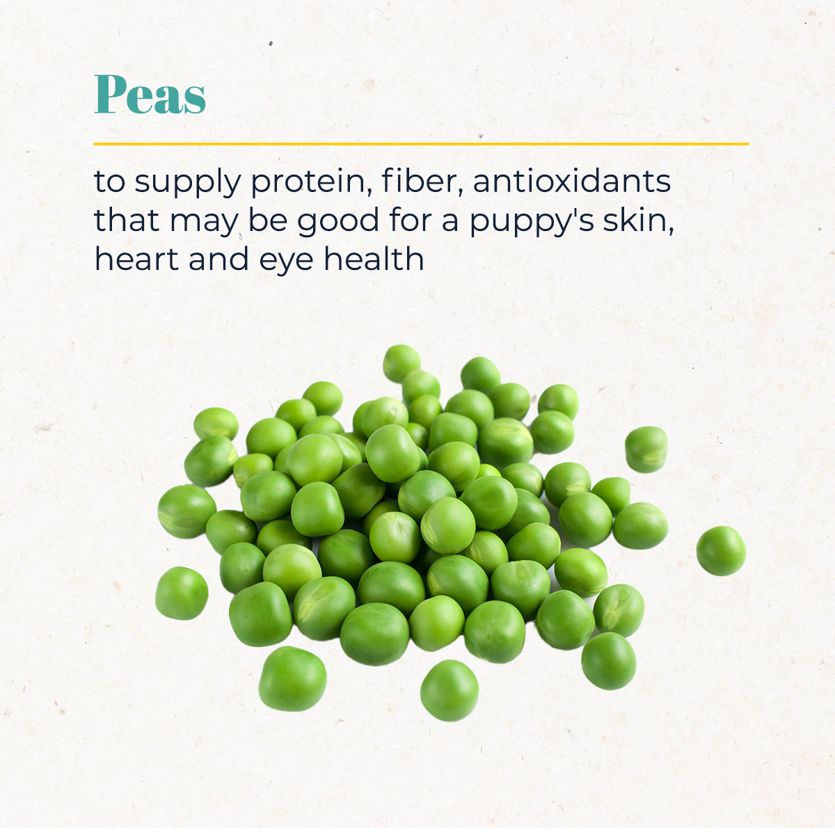 Premium Puppy Nutrition Dog Food