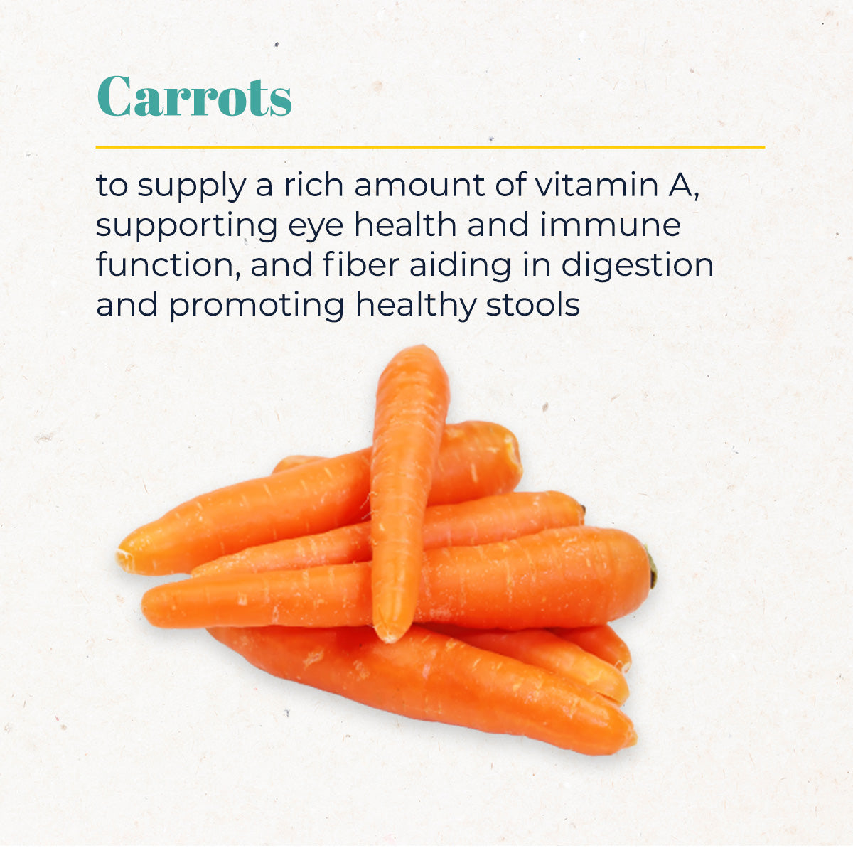 Premium Nutrition Cat Food Chunky Pork Stew