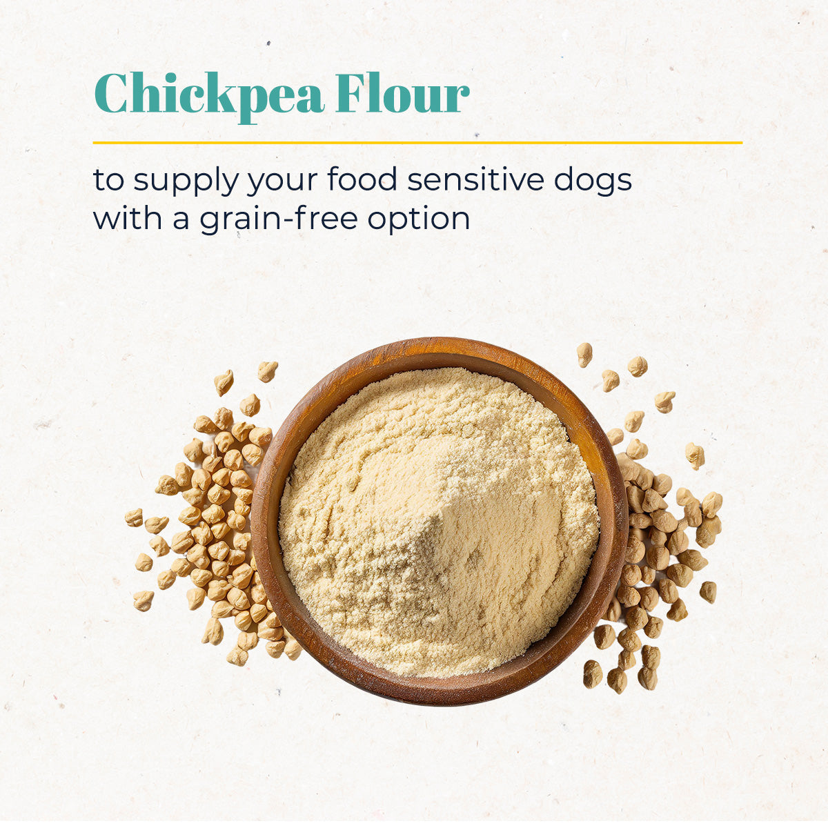 Skin & Coat Support Salmon Treats