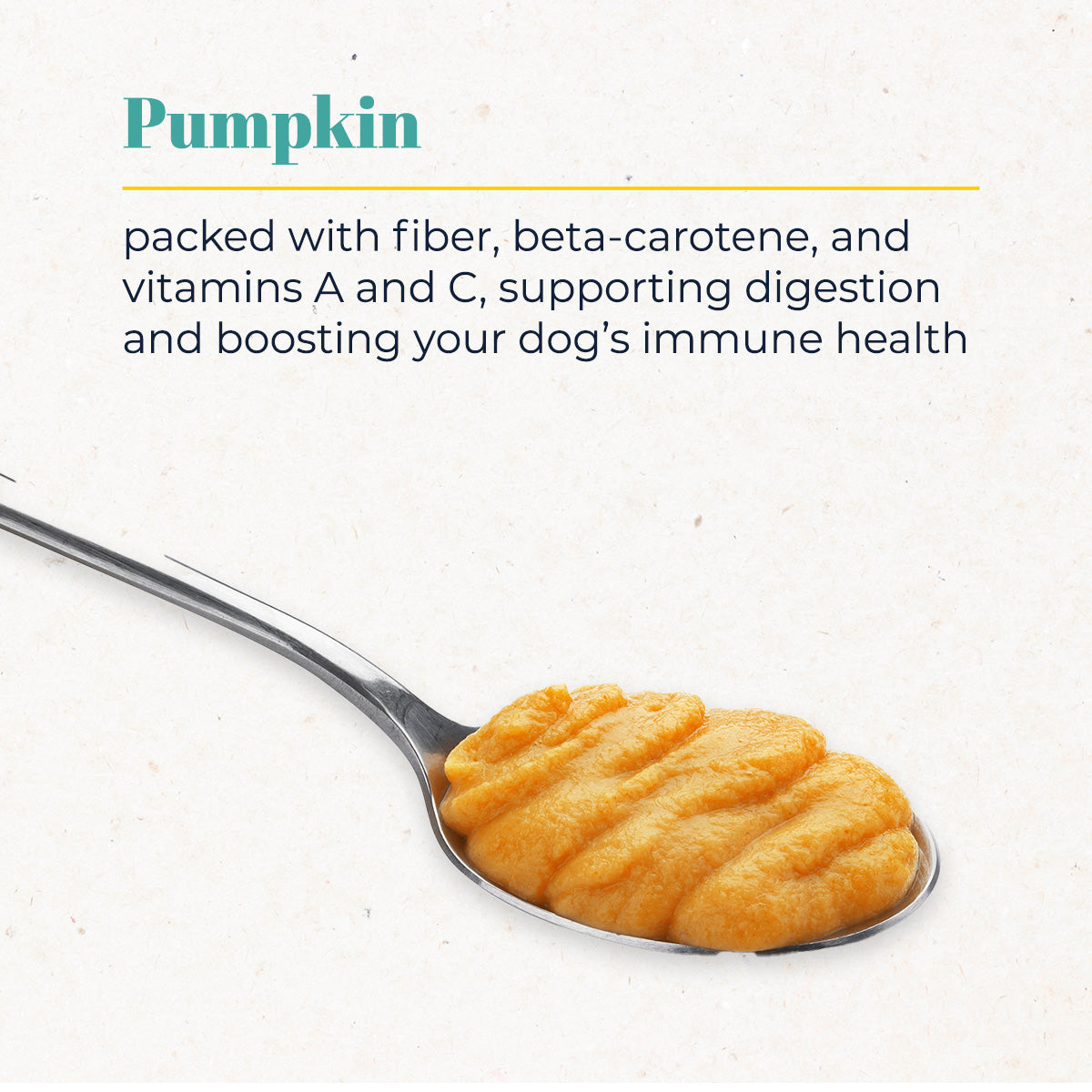 Pumpkin Spice Meatball Retail Case Pack (12pk)