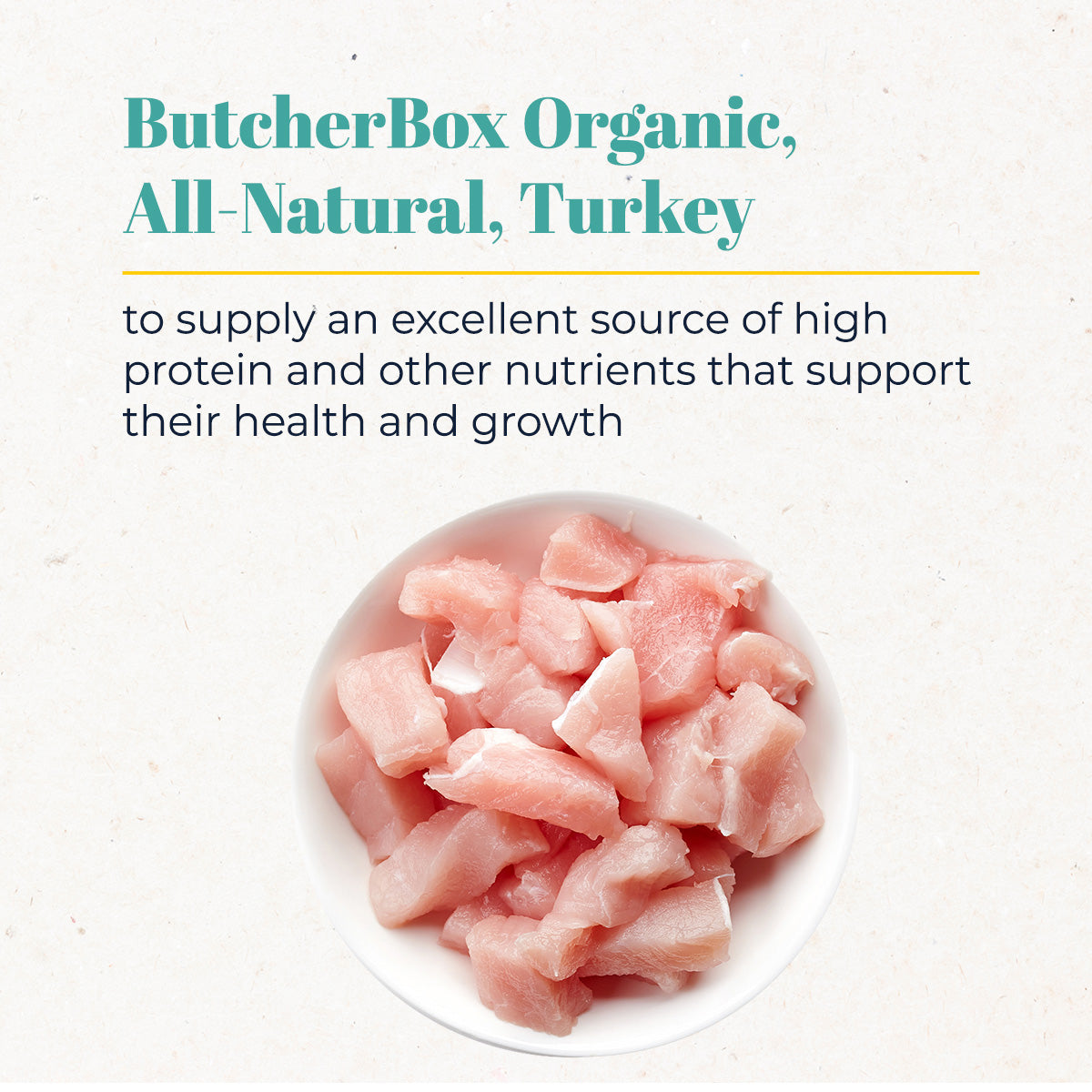 All Natural Turkey Jerky Bites