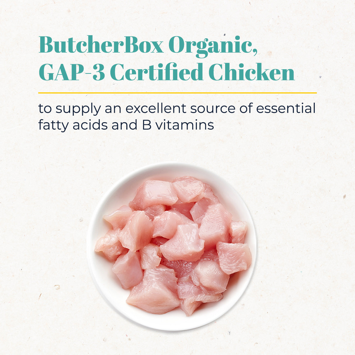 Premium Nutrition Dog Food