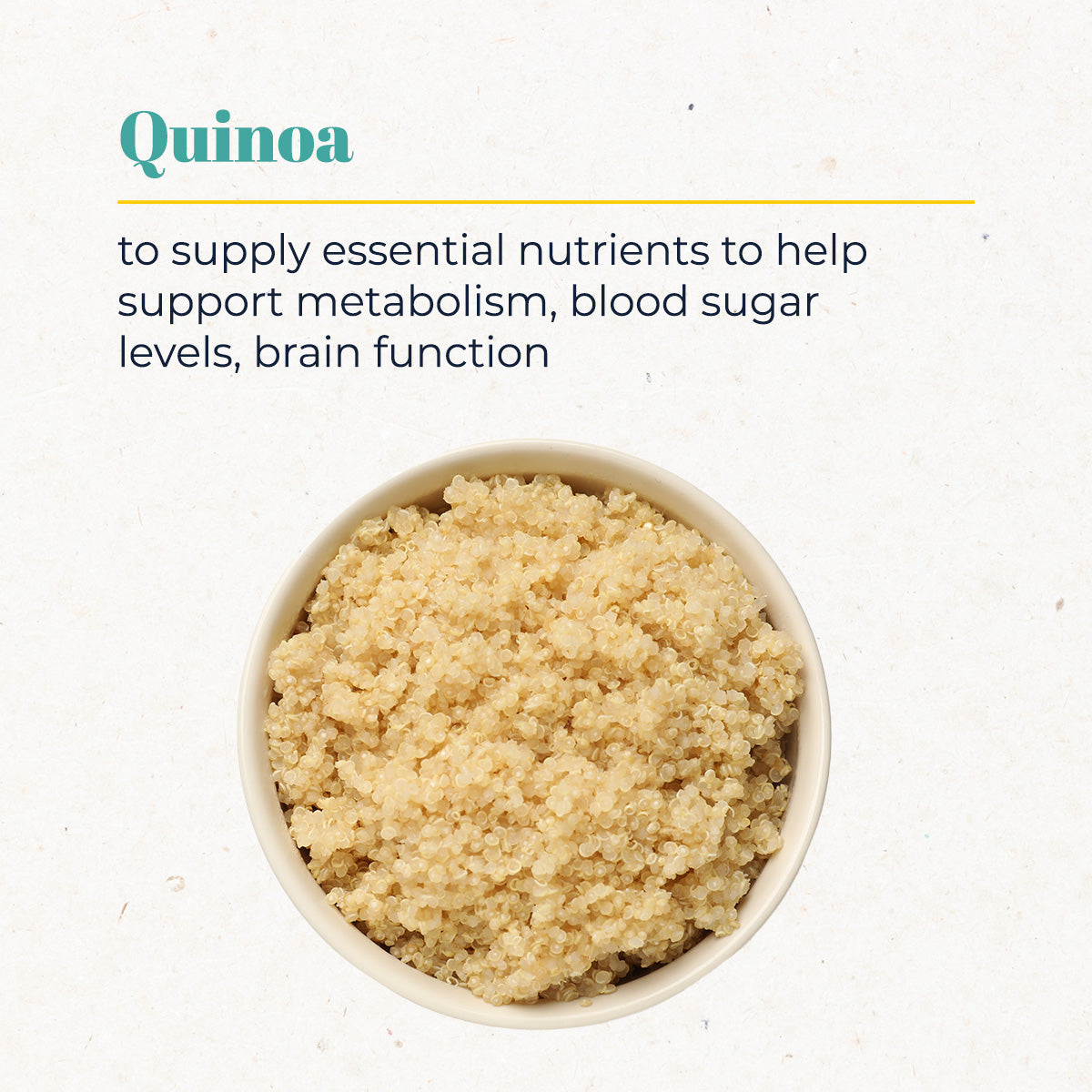 Premium Nutrition Dog Food