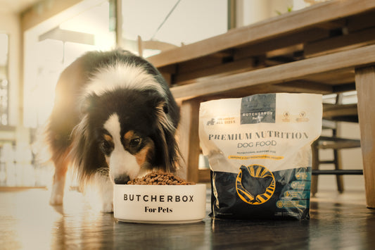 Best Ingredients for Premium Dog Food | ButcherBox For Pets