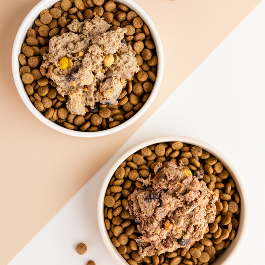 The Benefits of Dry Food and Fresh Food For Your Dog: Finding the Perfect Balance