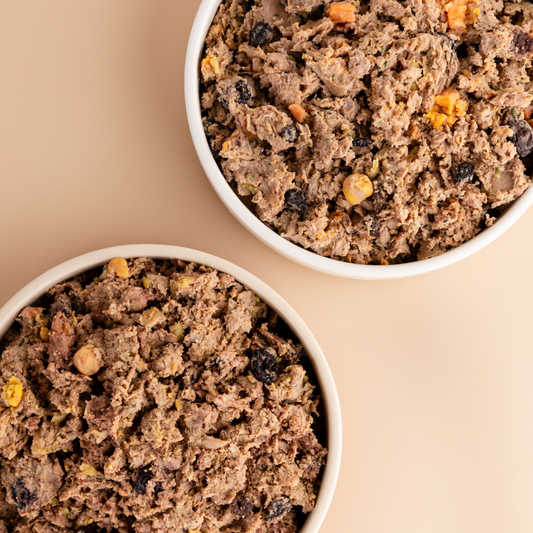 What to Expect in Your Dog’s First 30 Days on Fresh, Humanely Raised Food