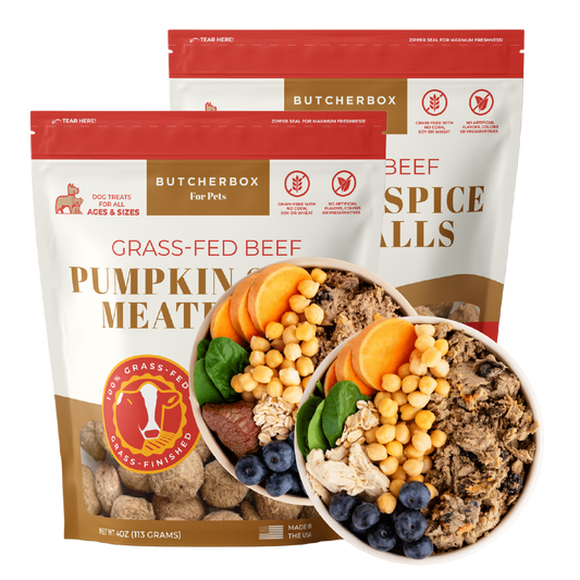 🎁 Double Pumpkin Pack (100% off)