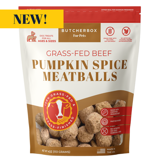 Freeze-Dried Pumpkin Spice Meatballs