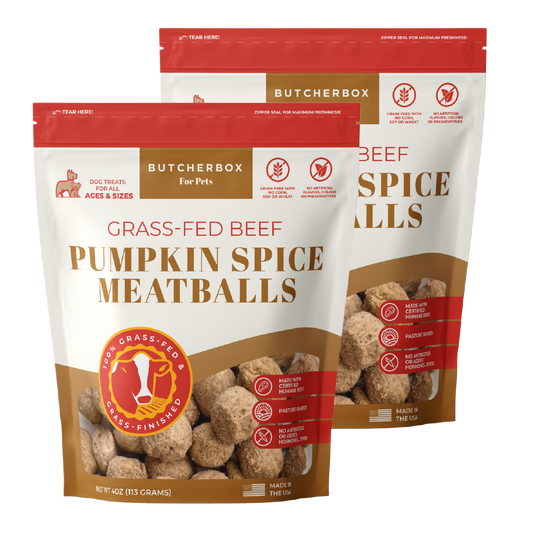 Pumpkin Spice Meatball Retail Case Pack (12pk)