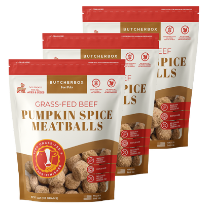 Freeze-Dried Pumpkin Spice Meatballs