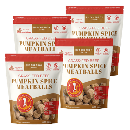 Freeze-Dried Pumpkin Spice Meatballs