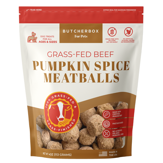 Freeze-Dried Pumpkin Spice Meatballs