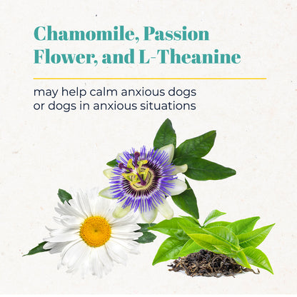 Calming Support Chews