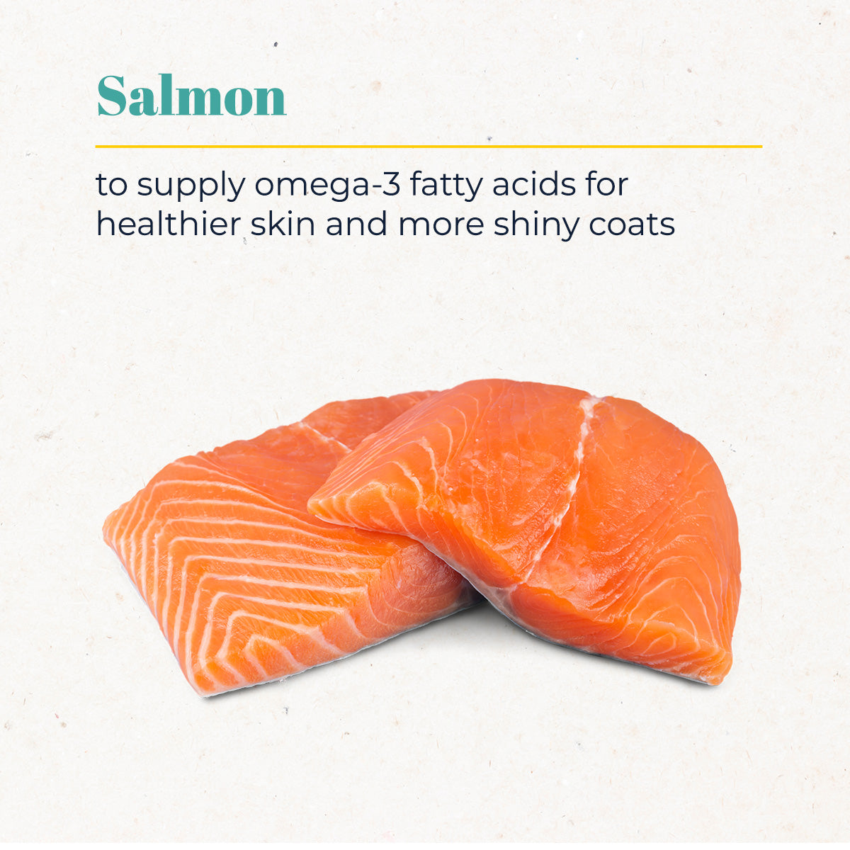 Skin & Coat Support Salmon Treats