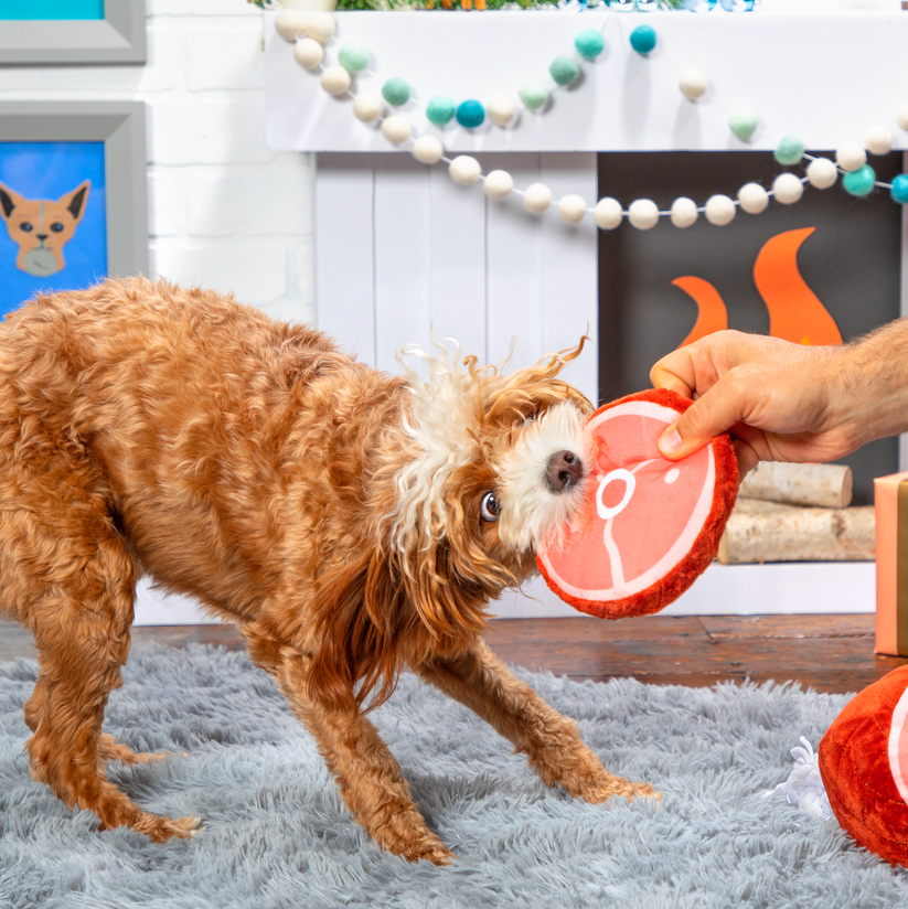 Wham Bam Ham Dog Toy ButcherBox For Pets