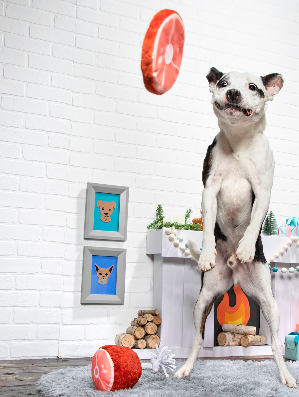 Wham Bam Ham Dog Toy ButcherBox For Pets