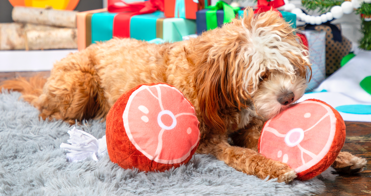 Wham Bam Ham Dog Toy ButcherBox For Pets